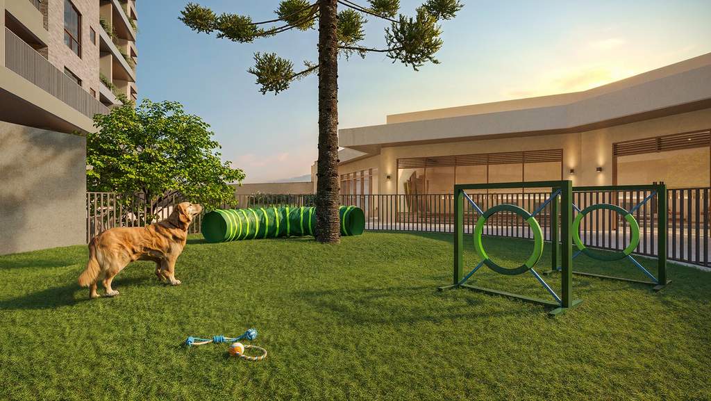 Pet place