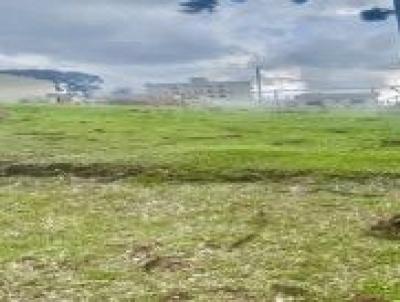 Terreno para Venda, em Colombo, bairro Vila S�o Jos�