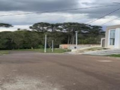 Terreno para Venda, em Colombo, bairro Vila S�o Jos�