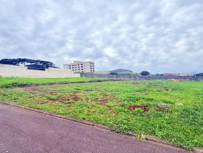 Terreno para Venda, em Colombo, bairro Vila S�o Jos�